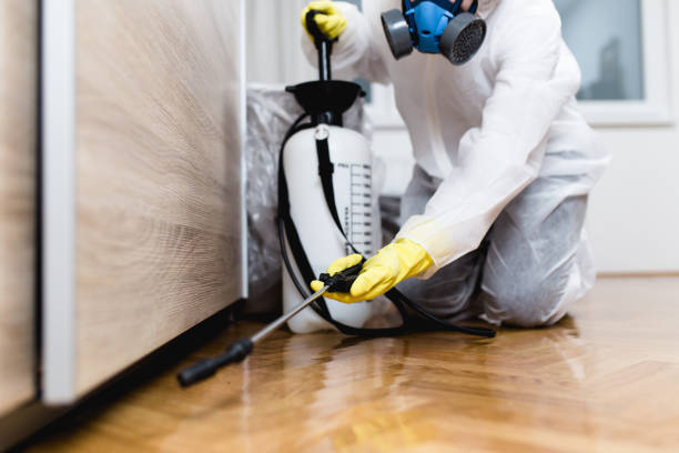 Best Best Pest Control Companies  in Zwolle, LA