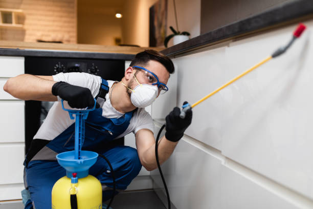 Best Affordable Pest Control Services  in Zwolle, LA