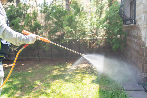 Best Pest Control Treatment  in Zwolle, LA