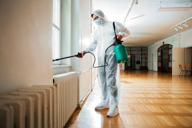 Best Affordable Pest Control Services  in Zwolle, LA