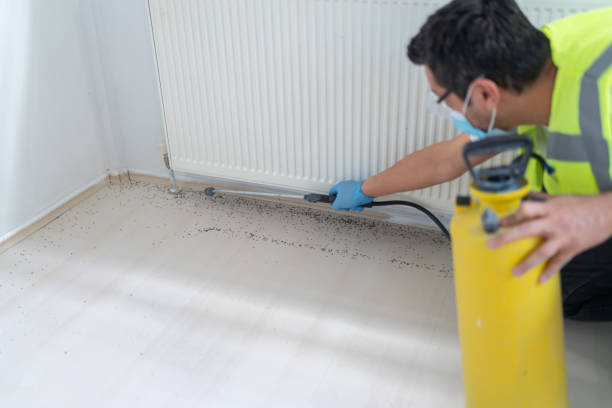 Pest Prevention Services in Zwolle, LA