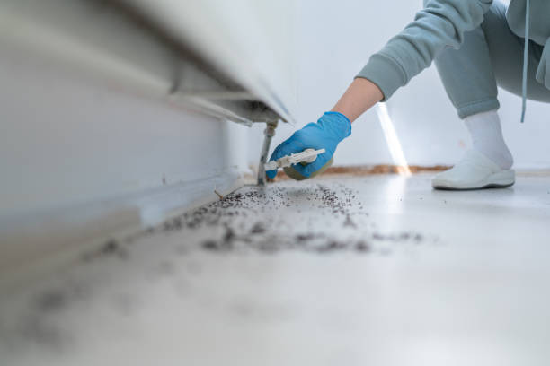 Best Exterminator Services  in Zwolle, LA